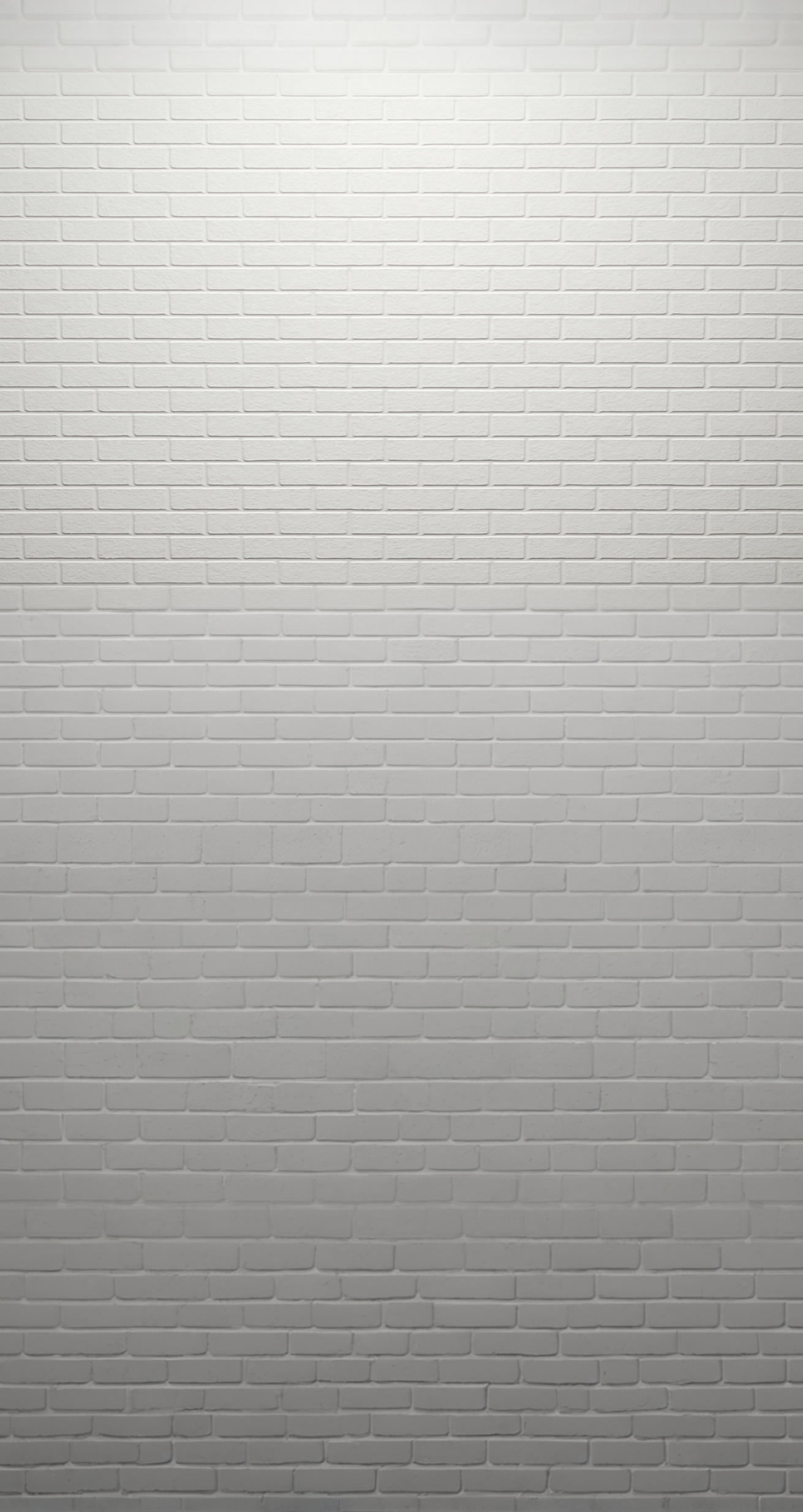background wall1_edited_edited.jpg